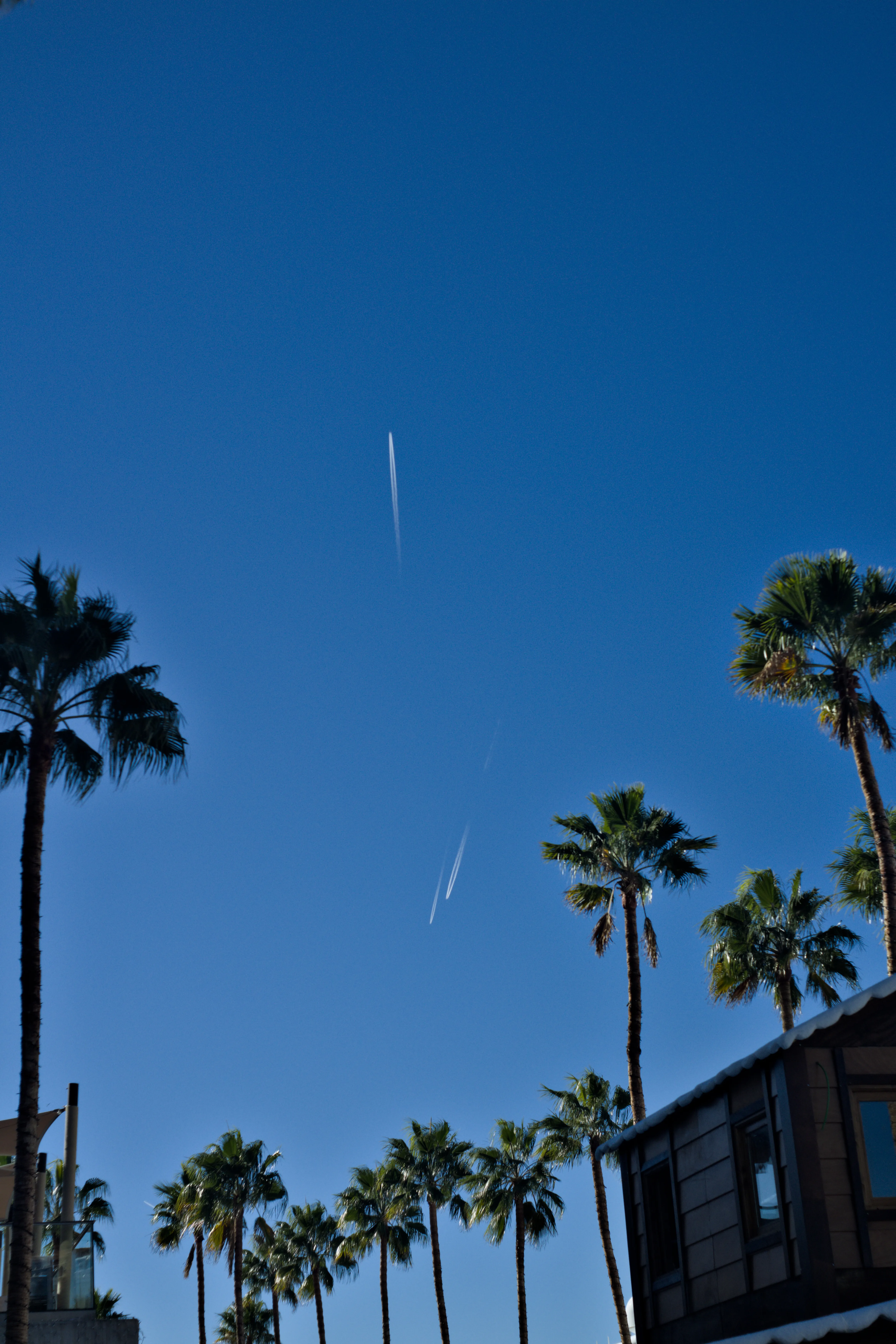 Meyer-Optik Görlitz Primagon 35mm f4.5 (M42) - _I4A3070.webp